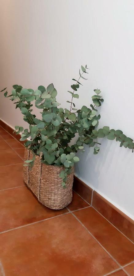Hostal Sa Posada Set Cales Ciutadella  Bagian luar foto